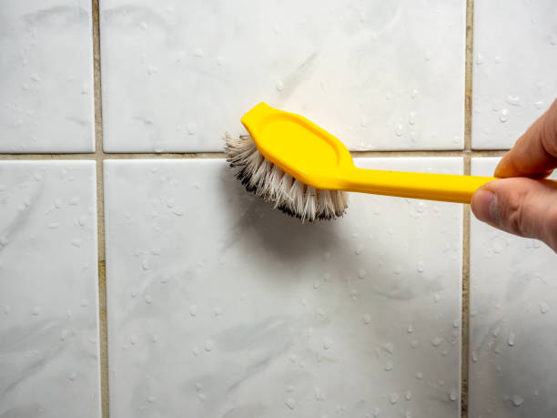 Best Home Mold Removal  in Carol Stream, IL