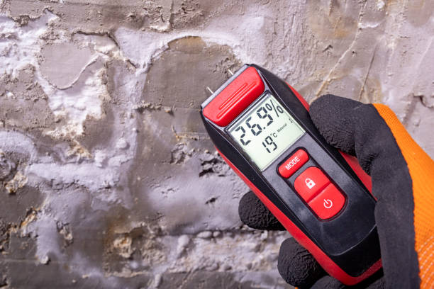 Best Mold Removal Process  in Carol Stream, IL